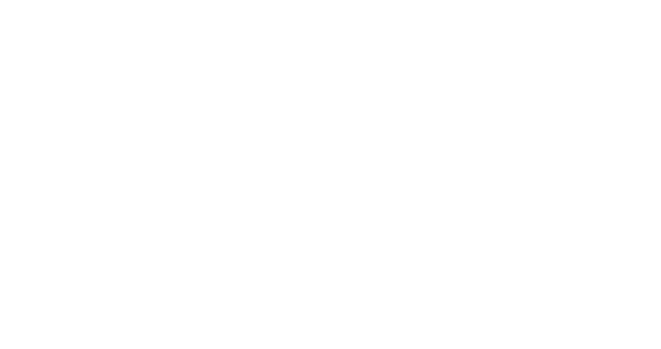 DSRPT Logo